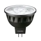 Philips Master LED Spot GU5.3 MR16 7.5W 520lm 24D - 940 Zimna Biel | Najlepsze renderowanie kolorów - Ściemnianie - Zamienne 50W